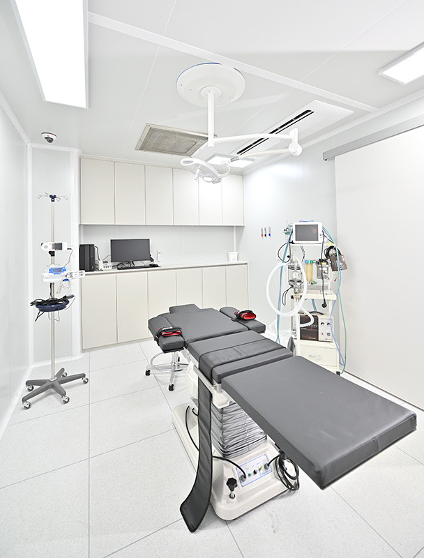 Wanna Plastic Surgery - Plastic Surgery clinic in Gangnam, Seoul, Seoul Korea